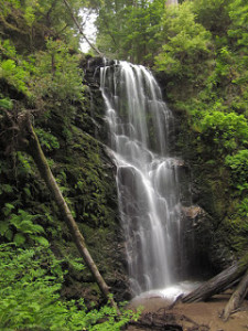 450px-Berry_Creek_Falls-225x300