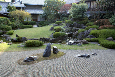 Zen Garden 550
