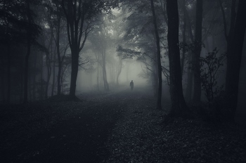 dark forest with spooky man walking on a path