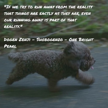 Dogen (350x350)