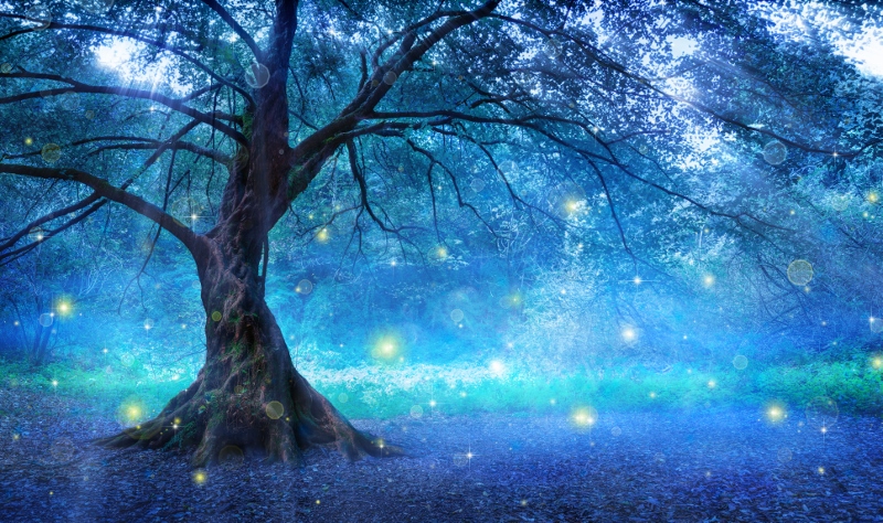 Fairy Tree In Mystic Forest