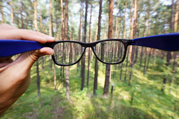 optical eyeglasses in the hand over blurred forest background