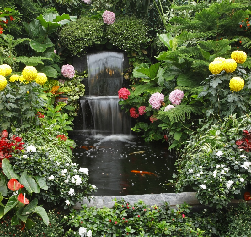 The fountain and goldenfish