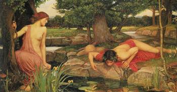 Narcissus 350