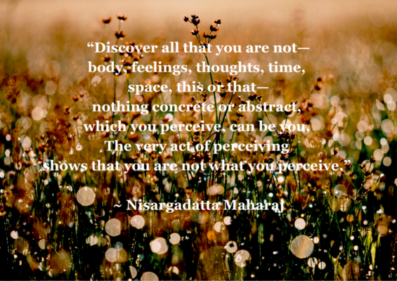 Nisargadatta Quote