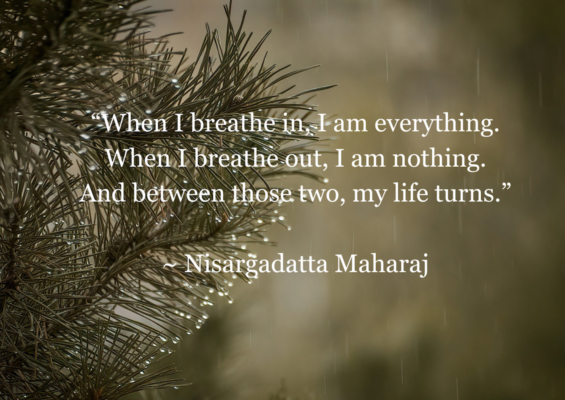 Nisargadatta Quote 3