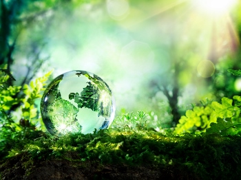 crystal globe on moss in a forest - environment concept