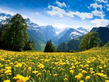 Spring Swiss Mountains (350x263)