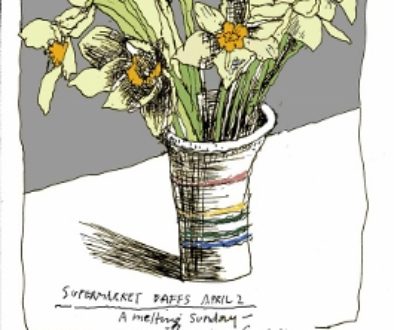 Sunday Daffs (265x350)