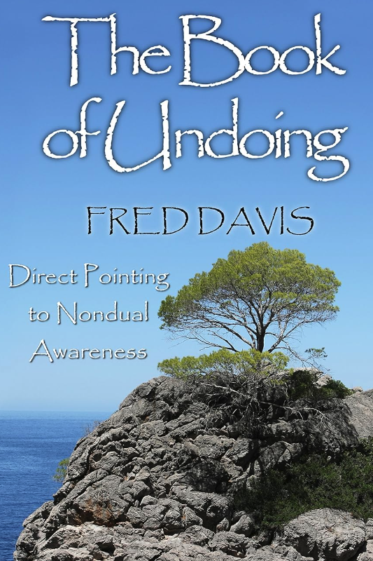 The Book of Undoing encourages immediate recognition of our shared true nature. It is an experiential journey, wherein the reader follows a mock client's Direct Pointing session with the author. Come wake up now!