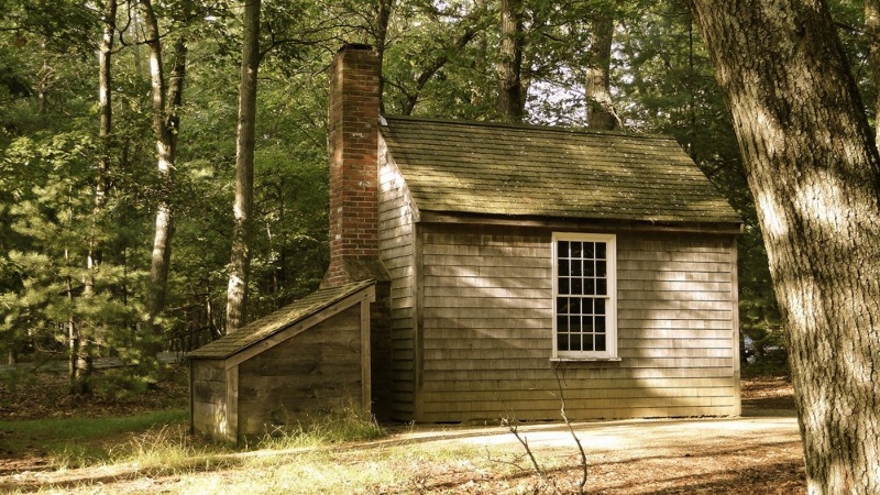 Thoreau's Cabin