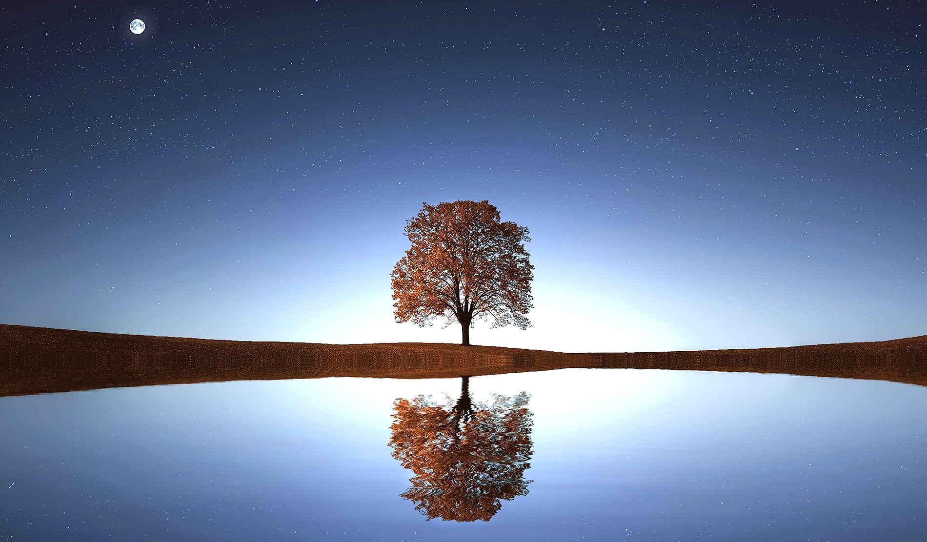 Tree by Lake With Stars