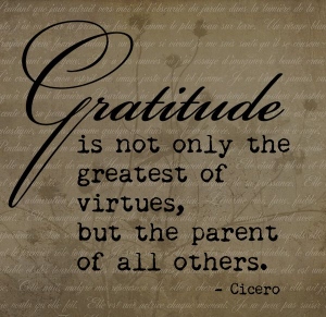 gratitudequote3 (300x291)