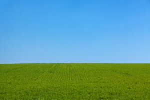 sky and field (300x200)