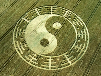 yin-yang crop circle (350x263)