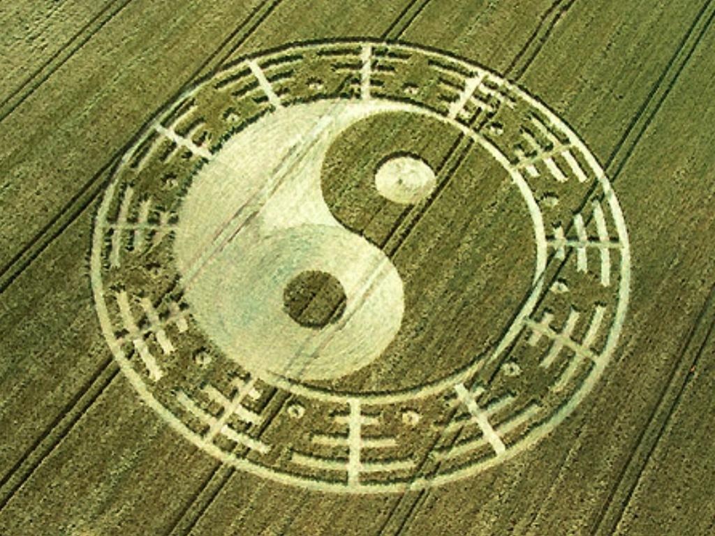 yin-yang crop circle
